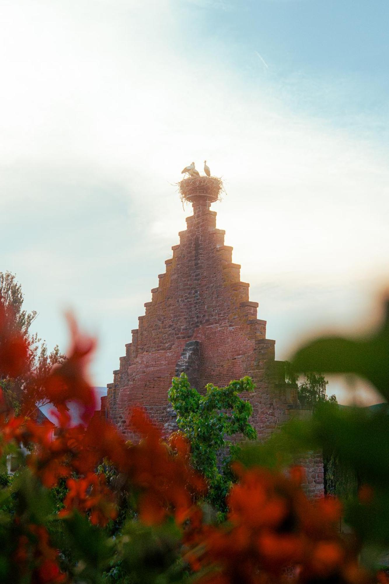 Hotel Au Nid De Cigognes Ostheim Bagian luar foto